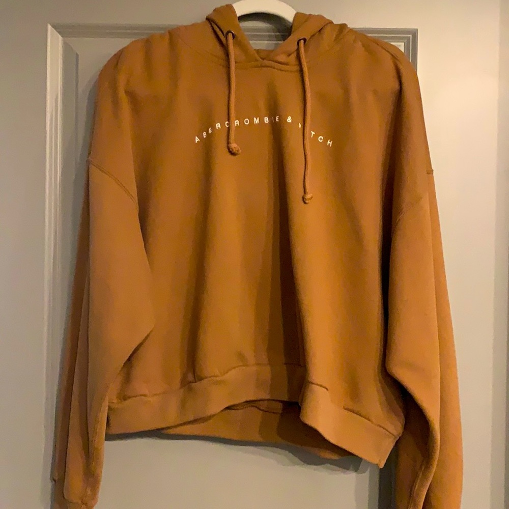 Abercrombie and Fitch Hoodie